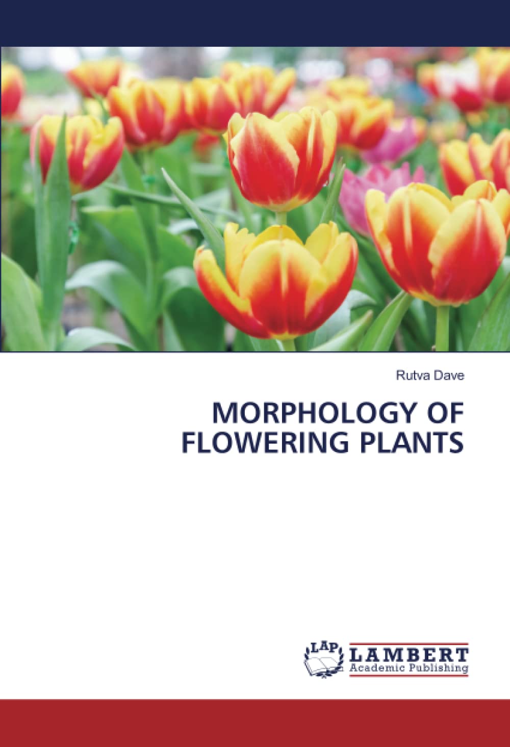 Amazon | MORPHOLOGY OF FLOWERING PLANTS | Dave, Rutva